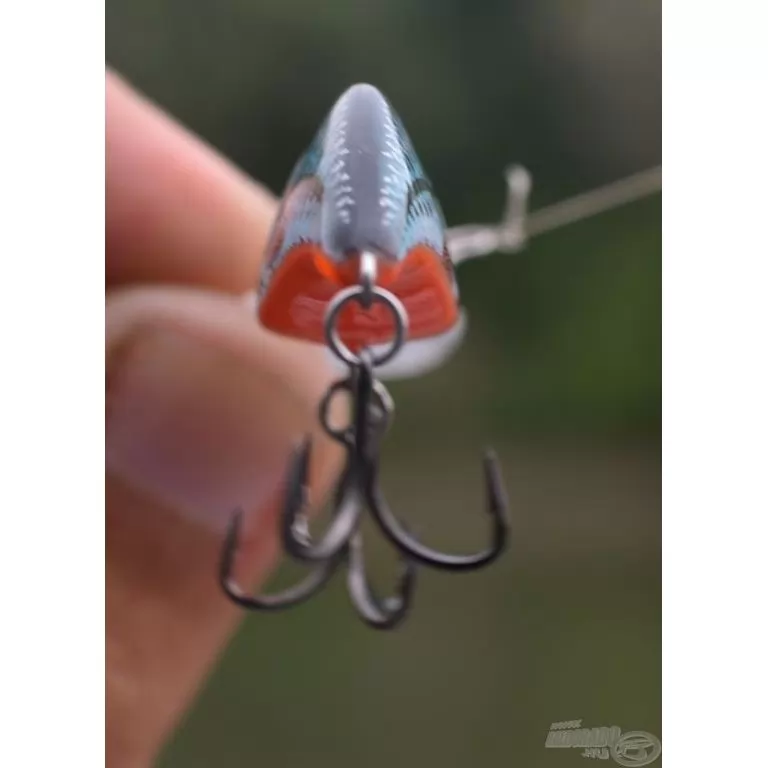 SALMO Sparky Shad SS4S SHS SALMO Sparky Shad SS4S SHS