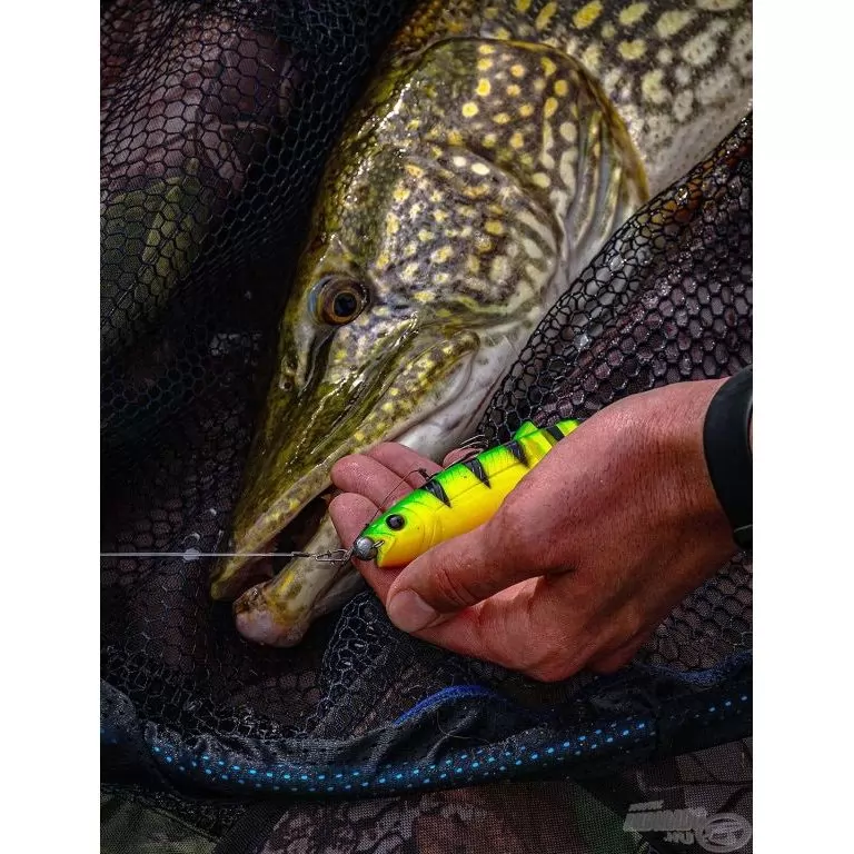 SAVAGE GEAR Cannibal Shad 15 cm - FireTiger 1 db / 2