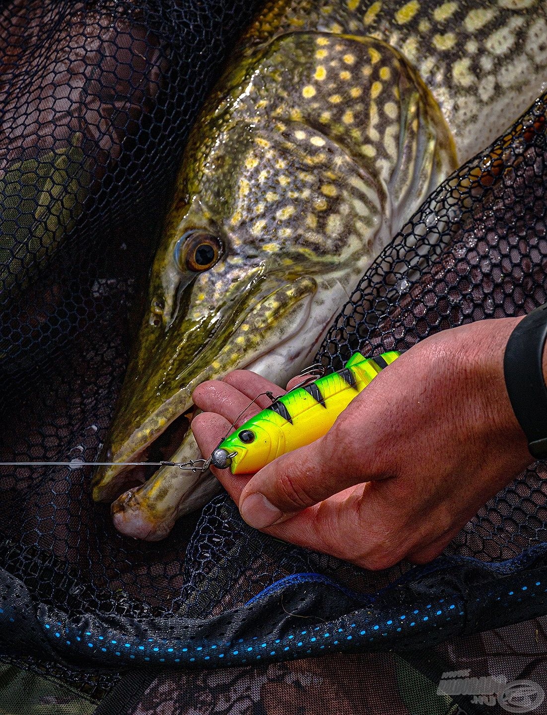 Leurre De Pêche Souple Pour Carnassiers - Type Poisson Nageur Multicouleur - 1 Pièce