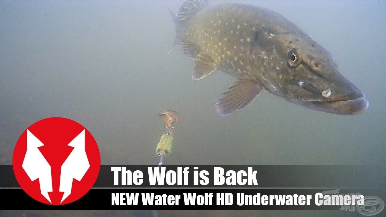 WATER WOLF UW 2.0 1080K Víz alatti kamera Haldorádó áruház