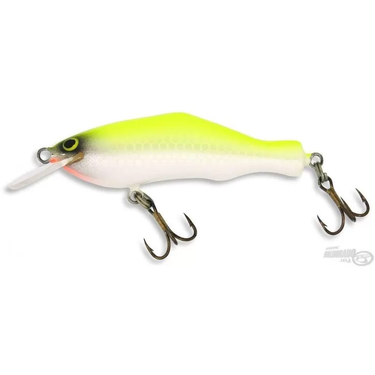 ZANDER TIME Zander SFC 6 cm / 1