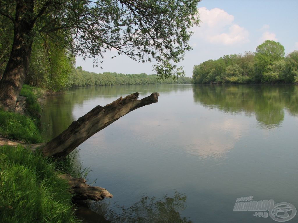 Dráva  -  Baranya megyei szakasz