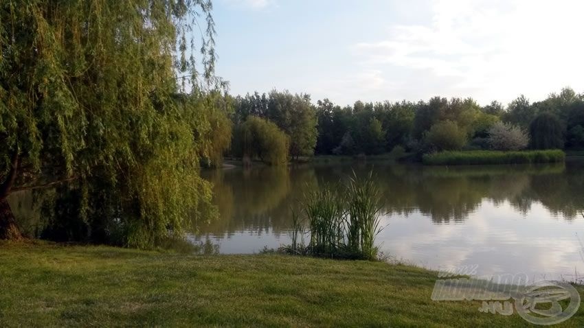 Pozsár paradise horgásztó Pozsár paradise horgásztó