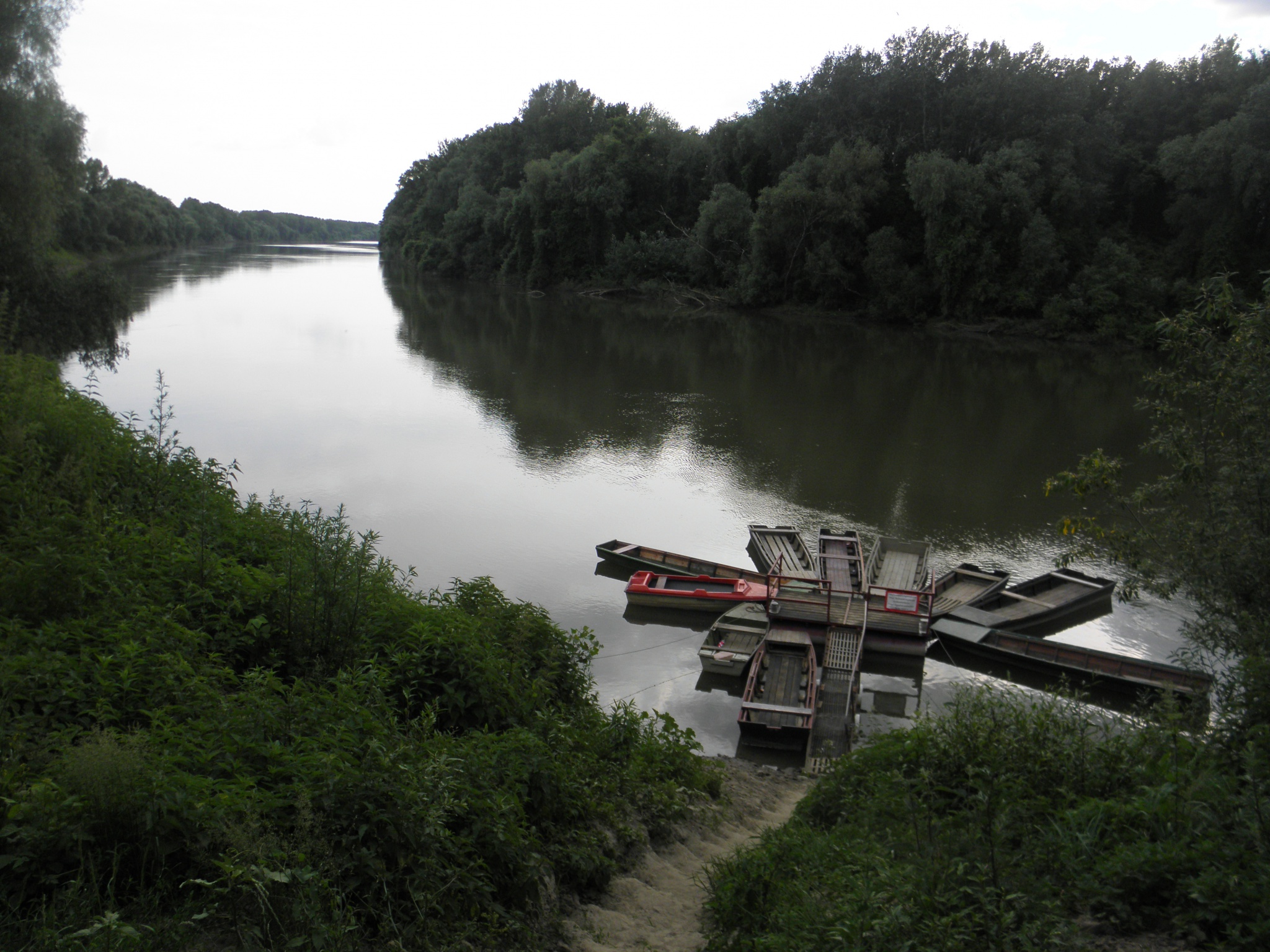 Tisza folyó és hullámtéri holtágai Szórói, Kovácsi, Gói-tói és Csatlói Holt-Tisza